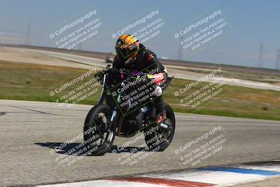 media/Mar-24-2025-2WTD (Mon) [[55b4b08488]]/B Group/1220pm (Wheelie Bump)/
